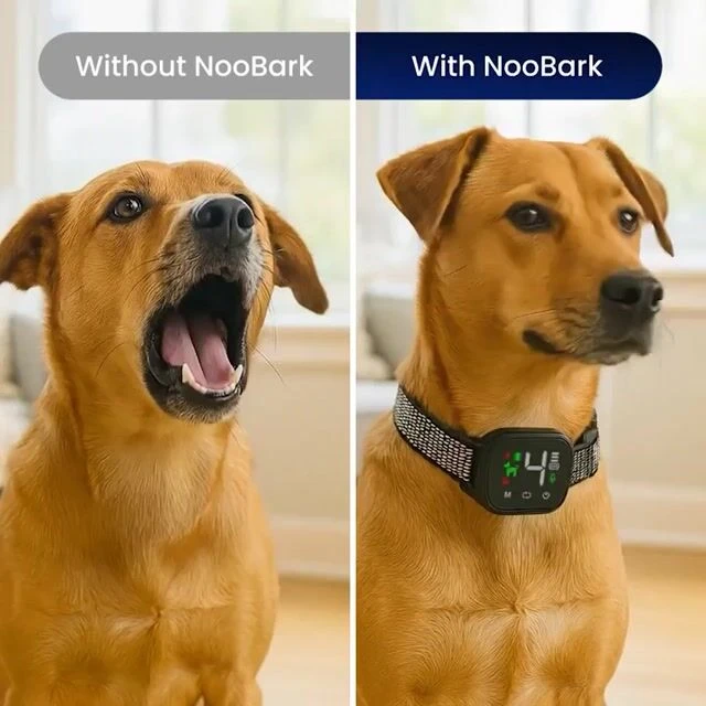CartyDiscounts image